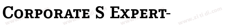 Corporate S Expert字体转换